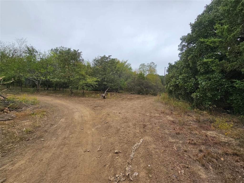 Tbd Layne Drive Property Photo 3