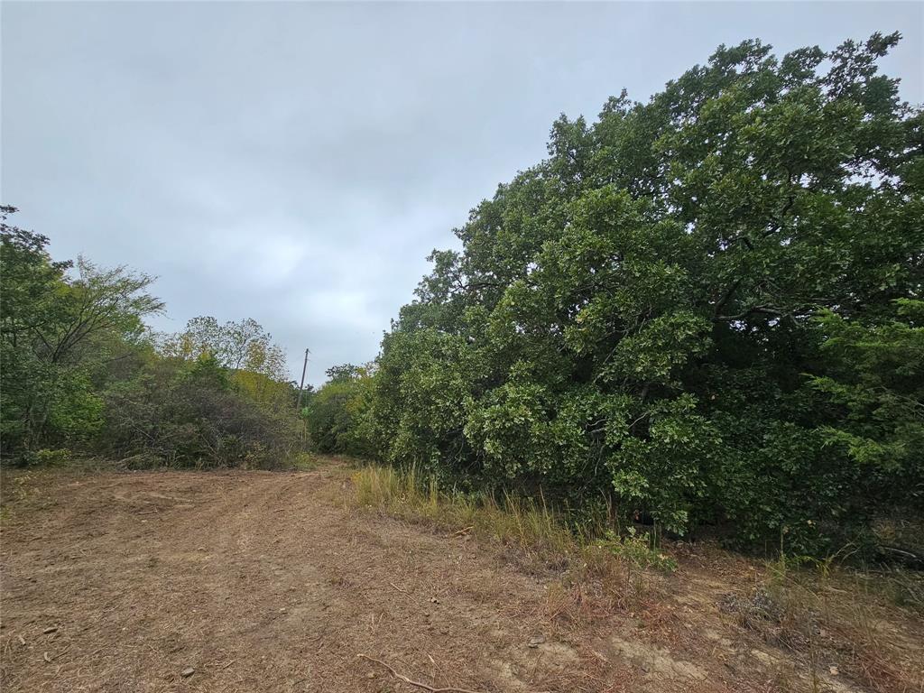 Tbd Layne Drive Property Photo 4