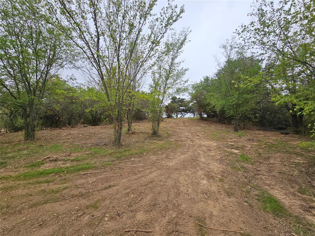 Tbd Layne Drive Property Photo 5