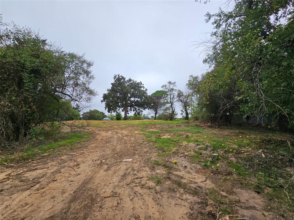 Tbd Layne Drive Property Photo 6