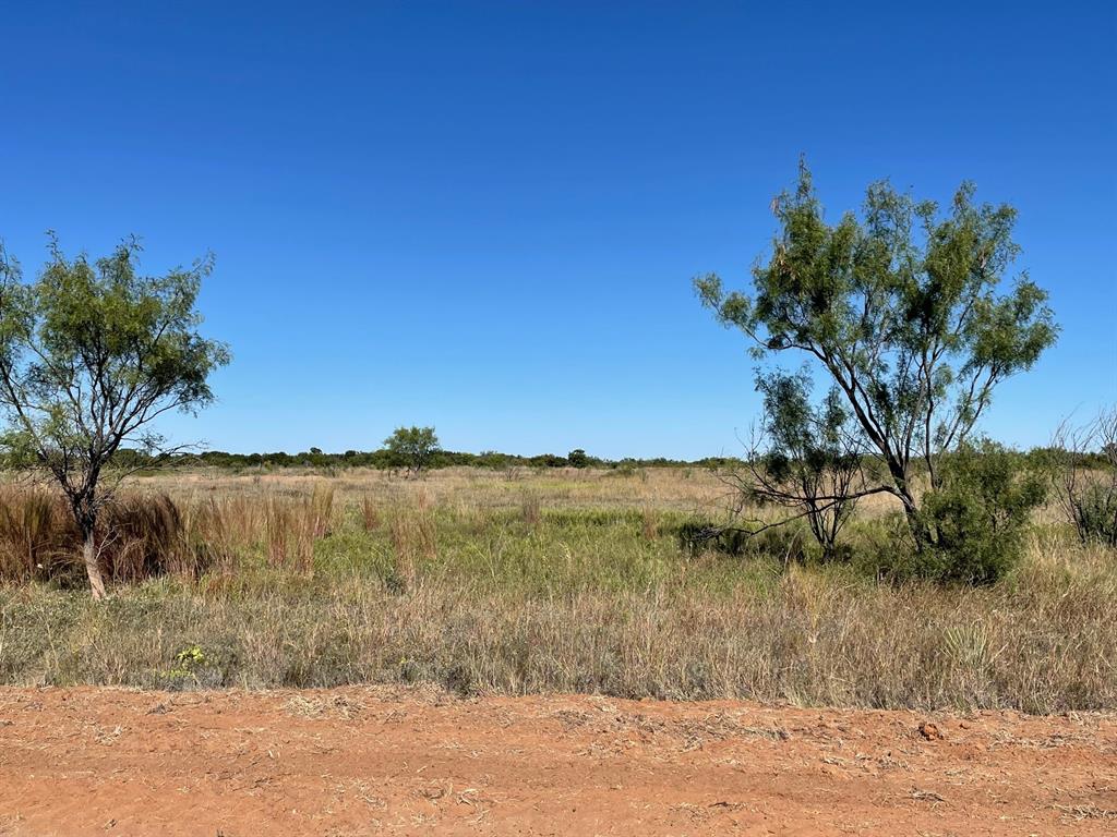 11.20 Ac Private Rd 3390 Property Photo 7