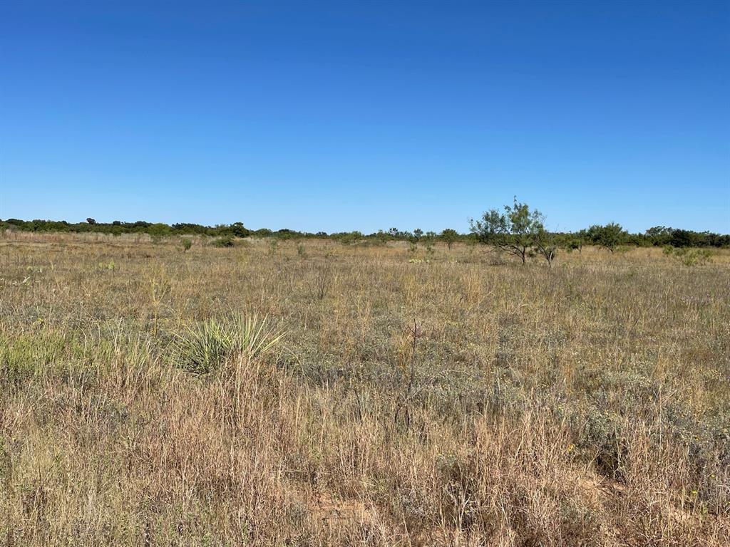 11.20 Ac Private Rd 3390 Property Photo 8