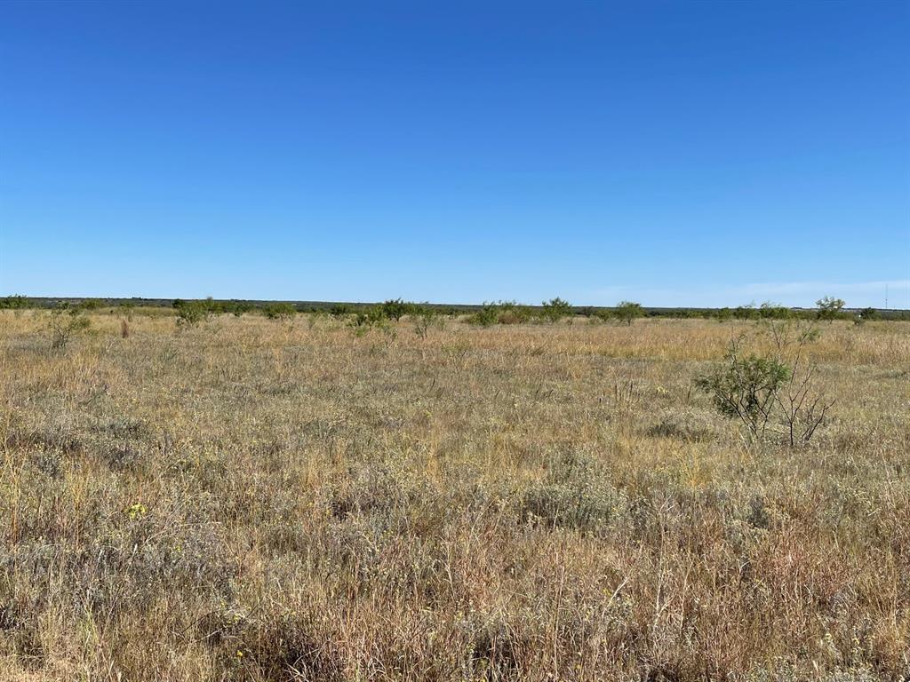 11.20 Ac Private Rd 3390 Property Photo 9
