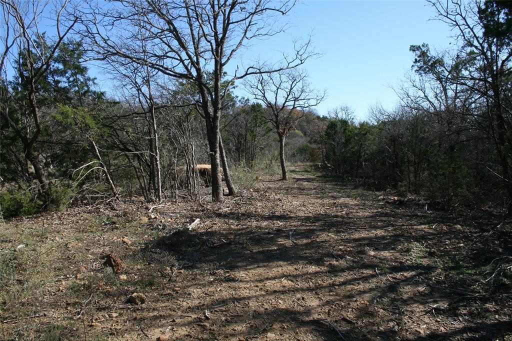 600 Holly Hill Road Property Photo 19