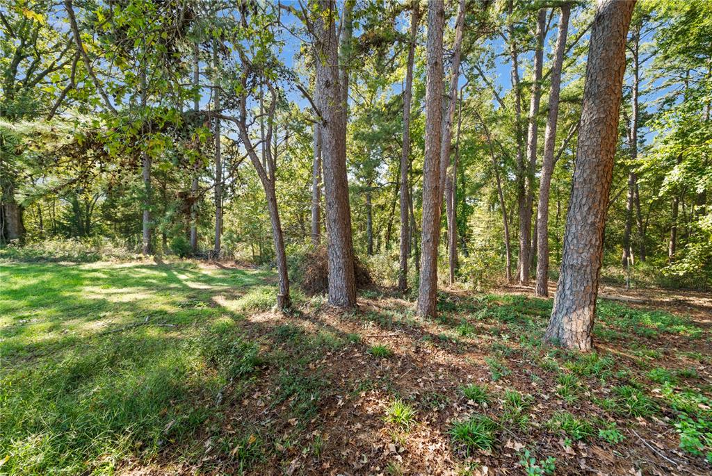 12879 County Road 3300 Property Photo 31