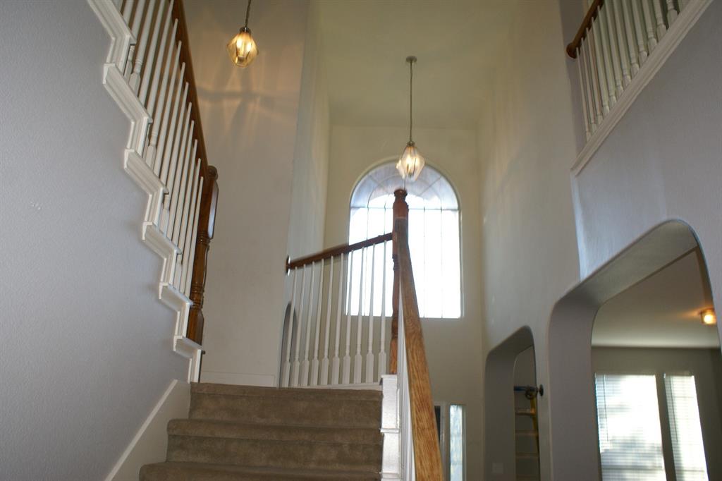 8004 Peacock Lane Property Photo 11