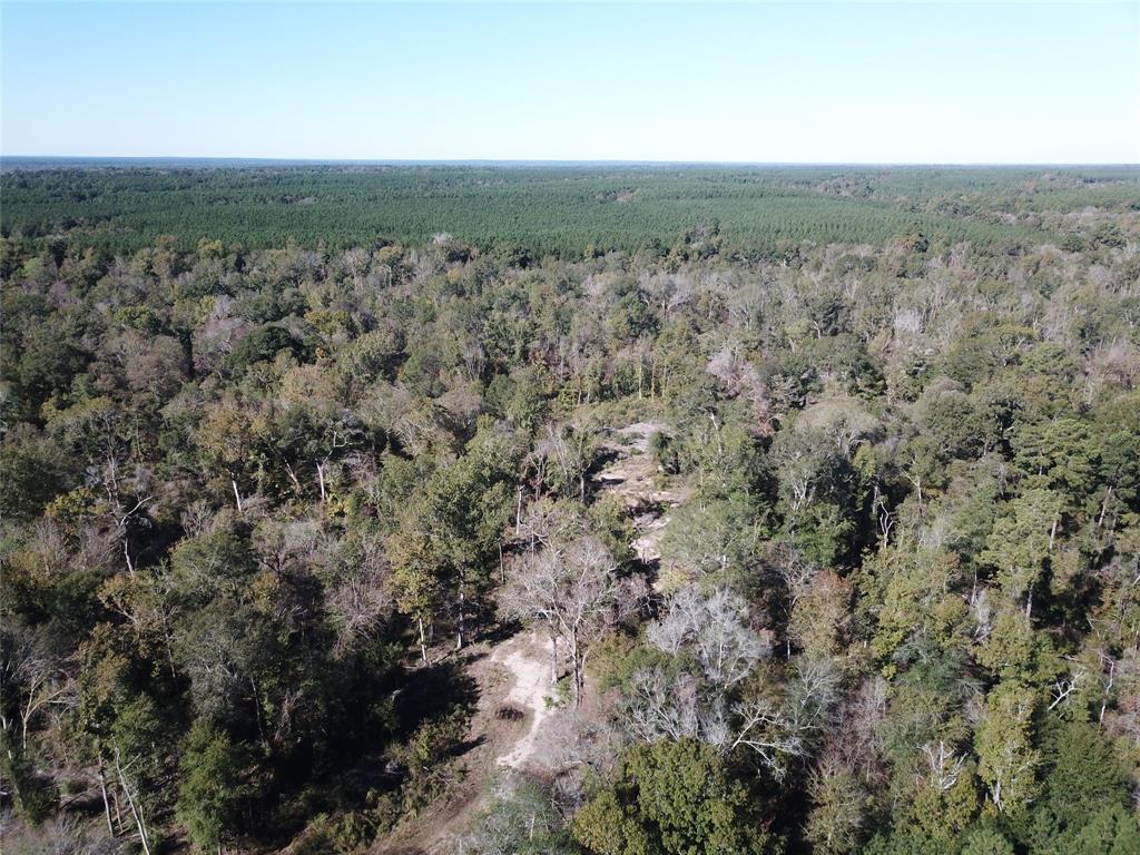 00 Off Evans Gann Road Property Photo 2
