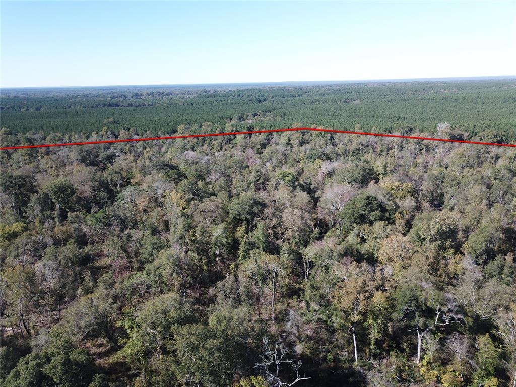 00 Off Evans Gann Road Property Photo 3
