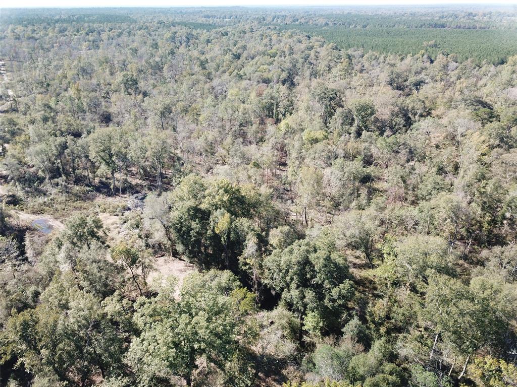 00 Off Evans Gann Road Property Photo 4