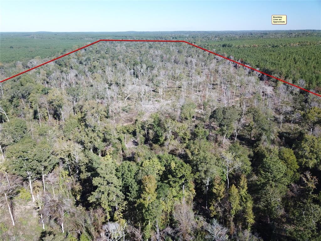 00 Off Evans Gann Road Property Photo 5