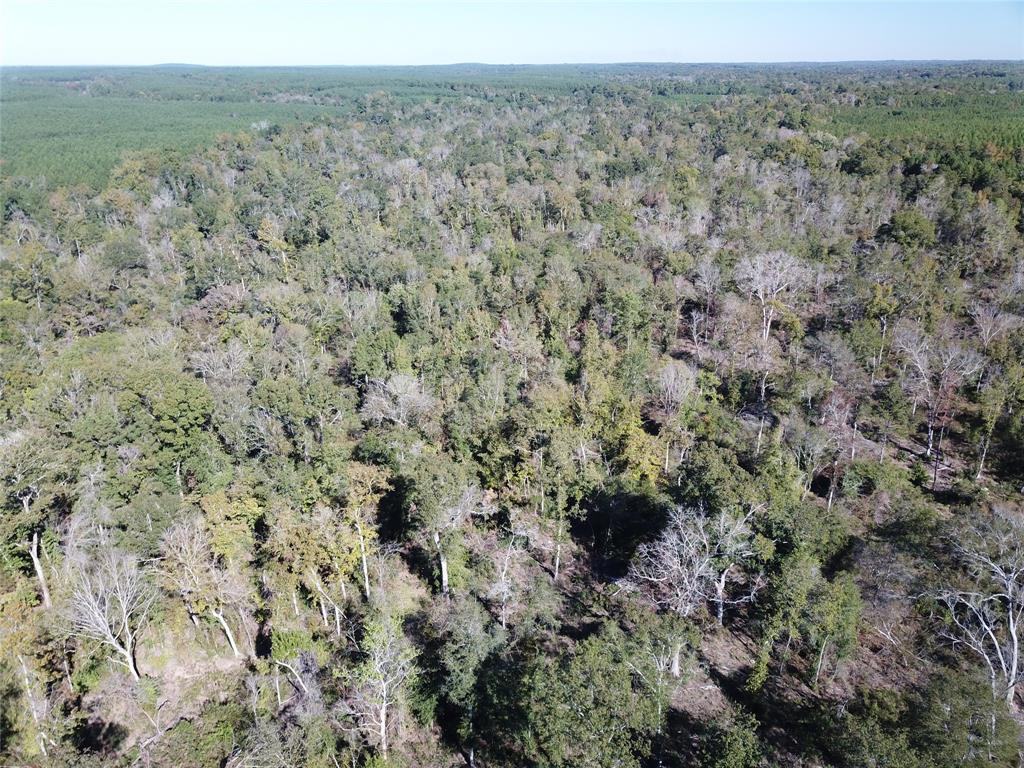00 Off Evans Gann Road Property Photo 6