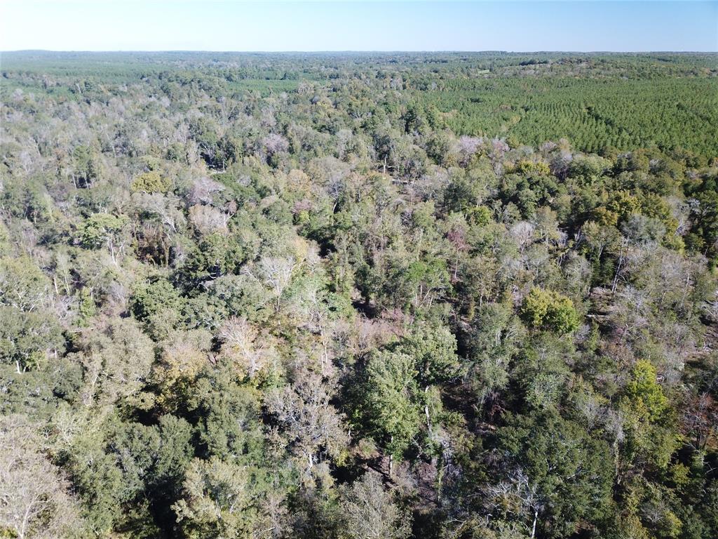 00 Off Evans Gann Road Property Photo 7