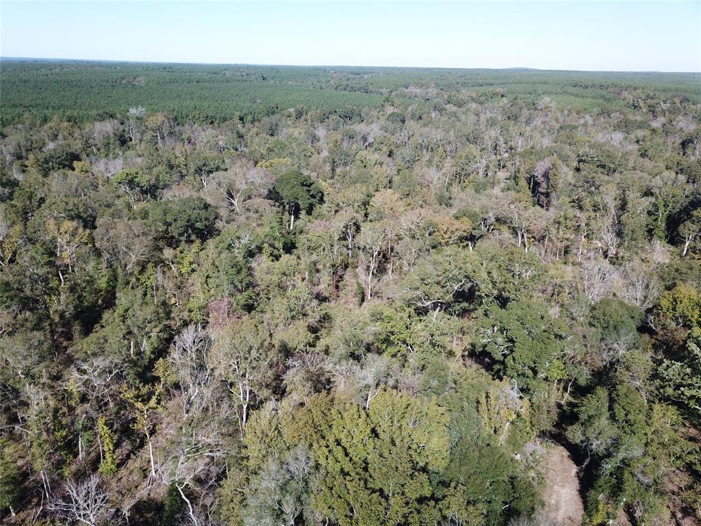 00 Off Evans Gann Road Property Photo 8