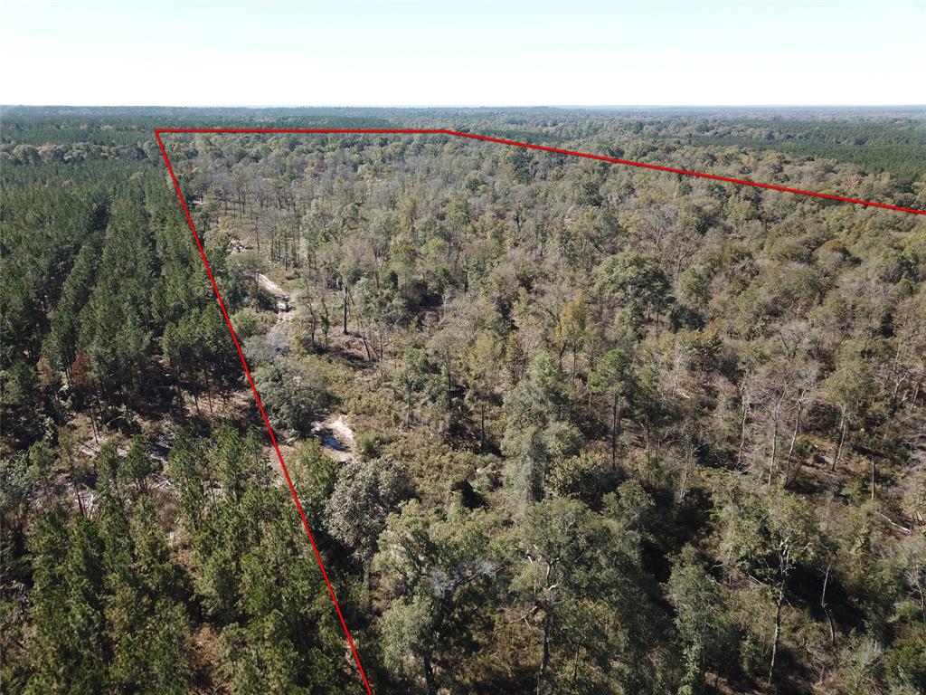 00 Off Evans Gann Road Property Photo 9