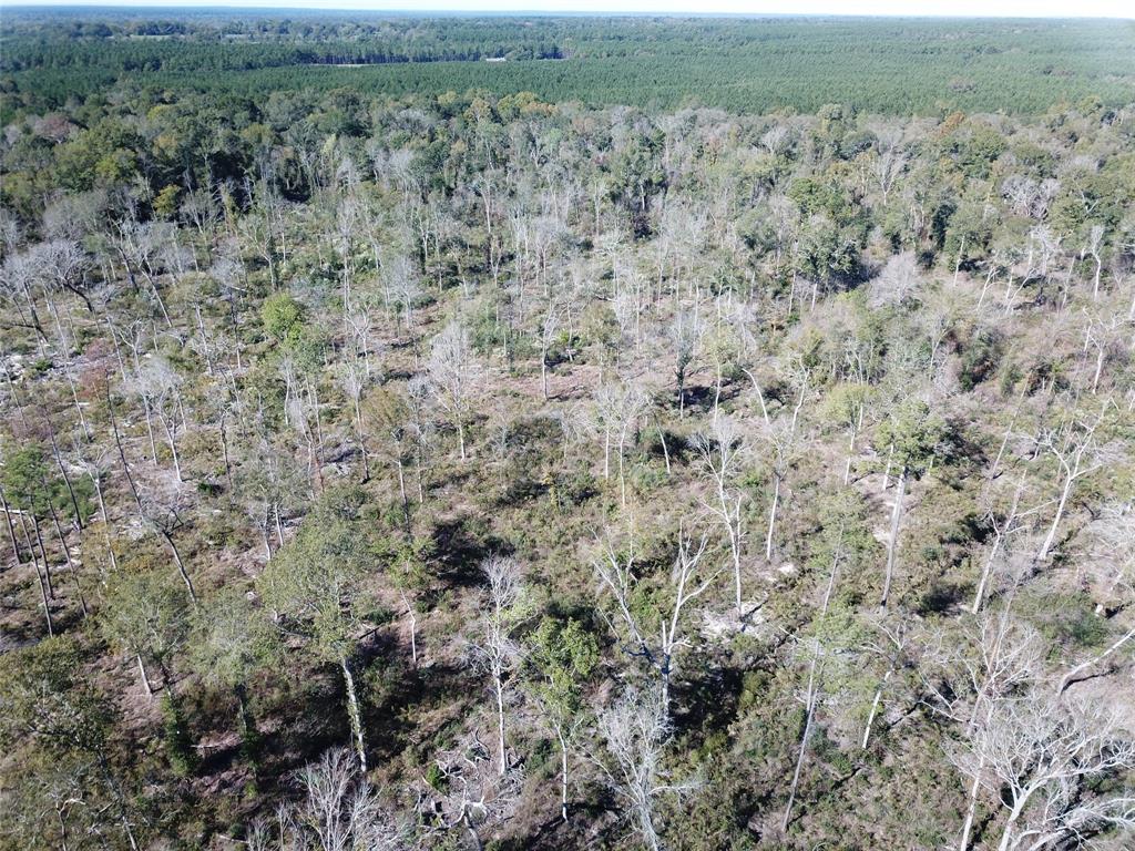 00 Off Evans Gann Road Property Photo 10