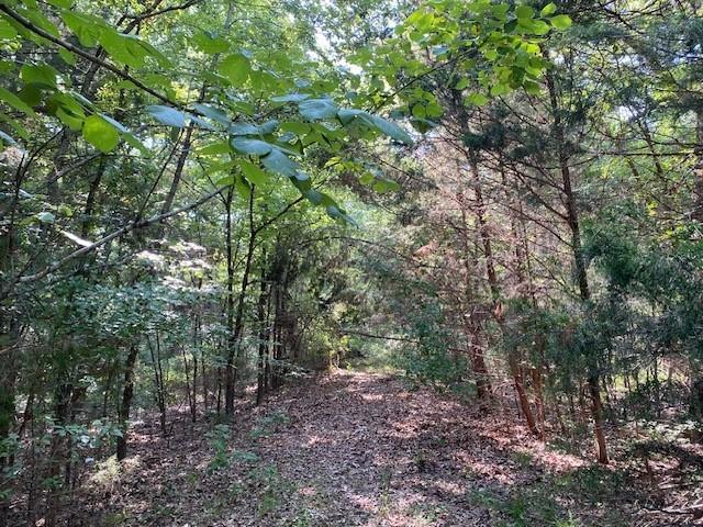 Tr 1 Cr 41514 Property Photo 1