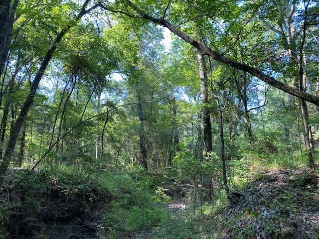Tr 1 Cr 41514 Property Photo 3