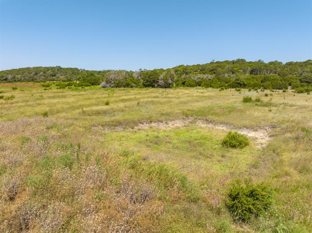 Tbd Bear Branch Road Property Photo 3