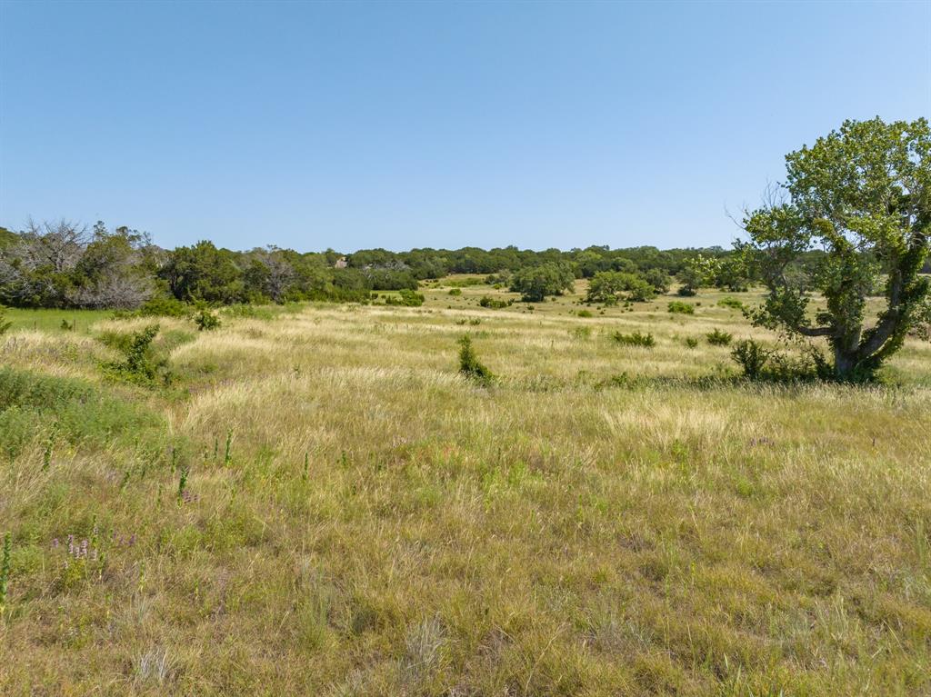 Tbd Bear Branch Road Property Photo 10