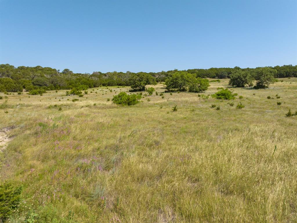 Tbd Bear Branch Road Property Photo 13