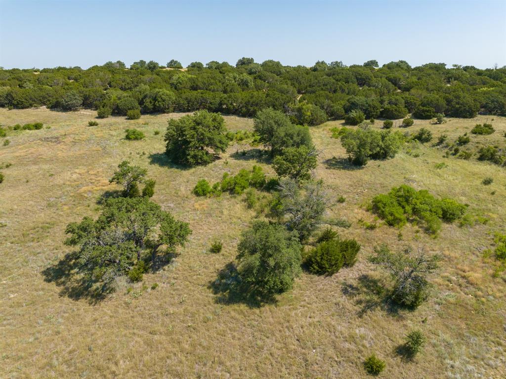 Tbd Bear Branch Road Property Photo 15