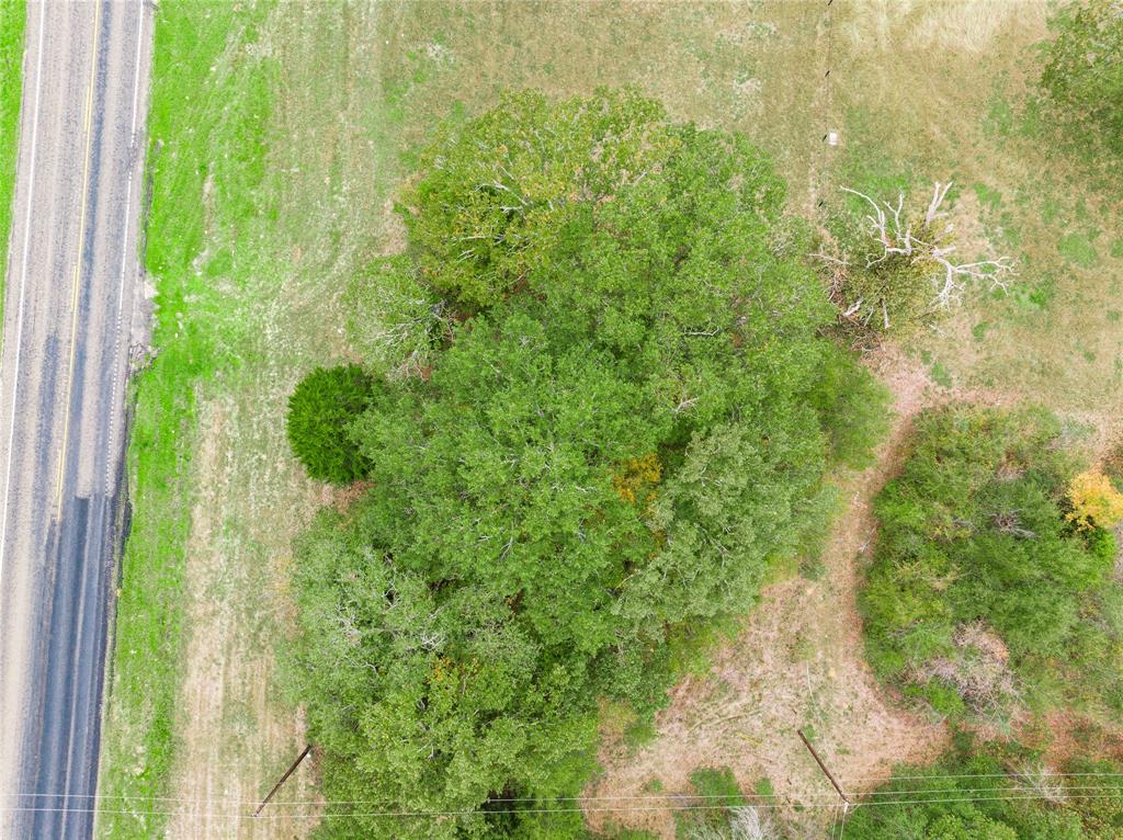 Tbd Hwy 274 Property Photo 7