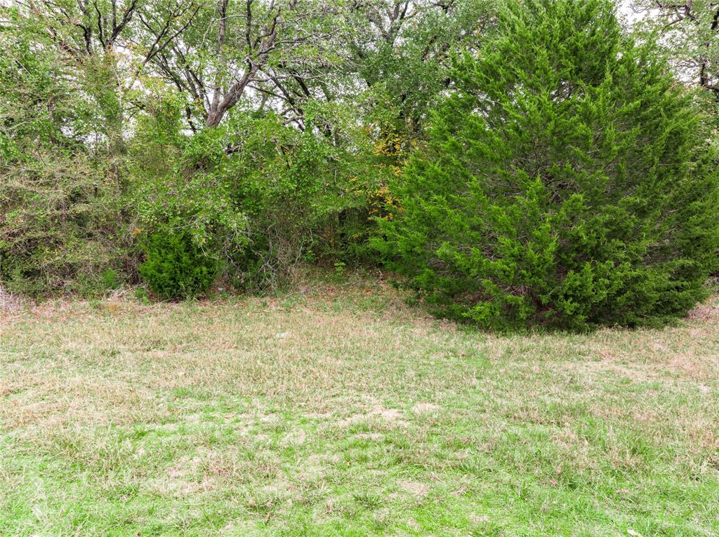 Tbd Hwy 274 Property Photo 8