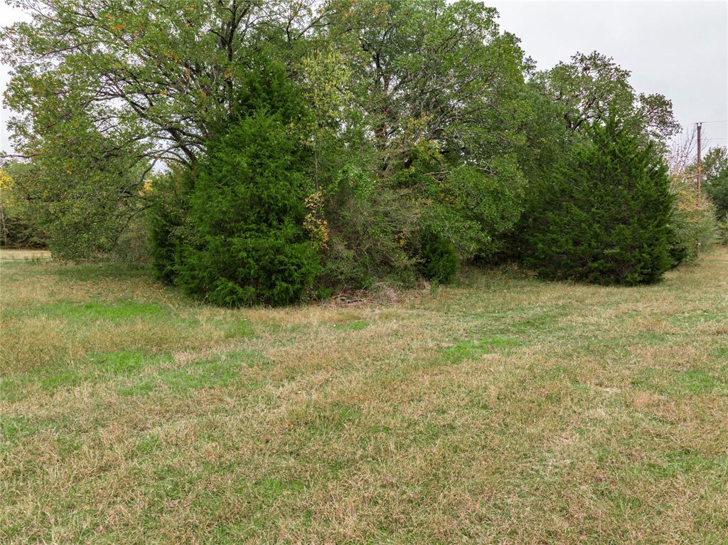 Tbd Hwy 274 Property Photo 10