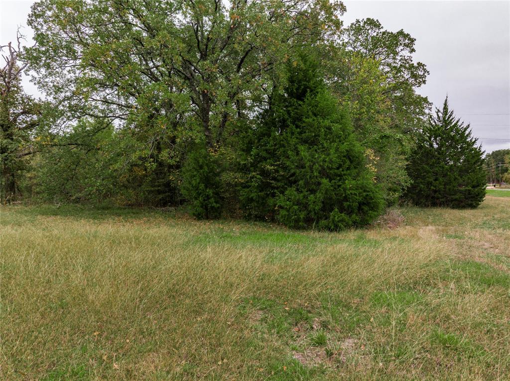 Tbd Hwy 274 Property Photo 11