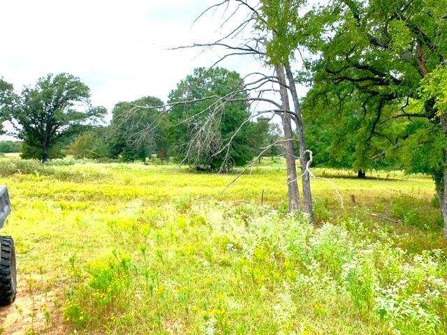 000 County Rd 2411 Property Photo 4