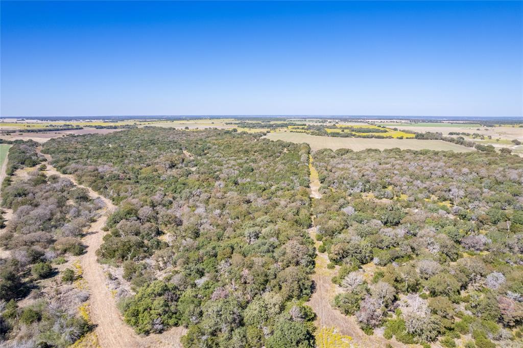 1630 County Road 226 Property Photo 6