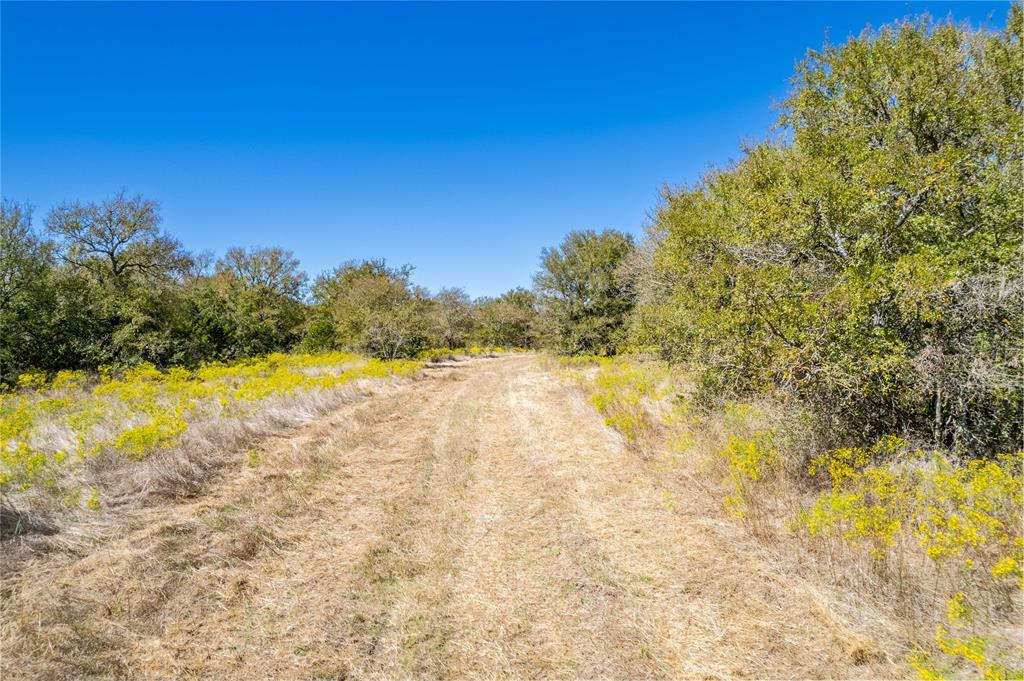 1630 County Road 226 Property Photo 12