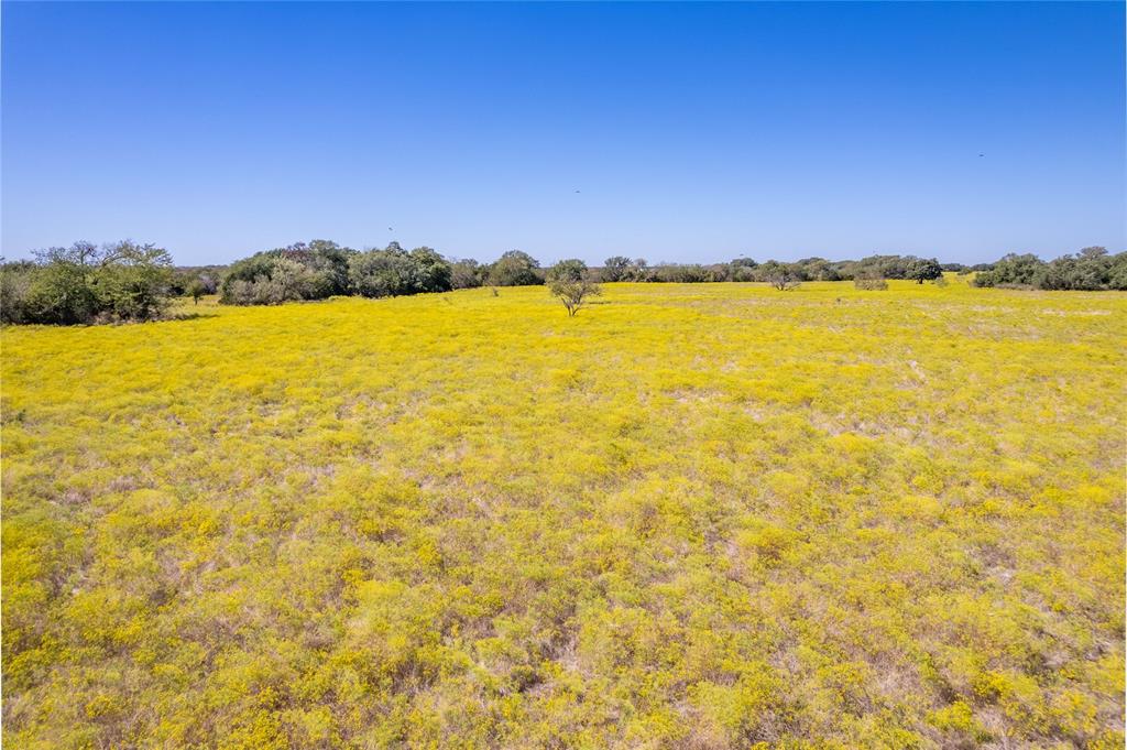 1630 County Road 226 Property Photo 16