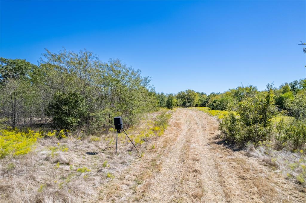 1630 County Road 226 Property Photo 19