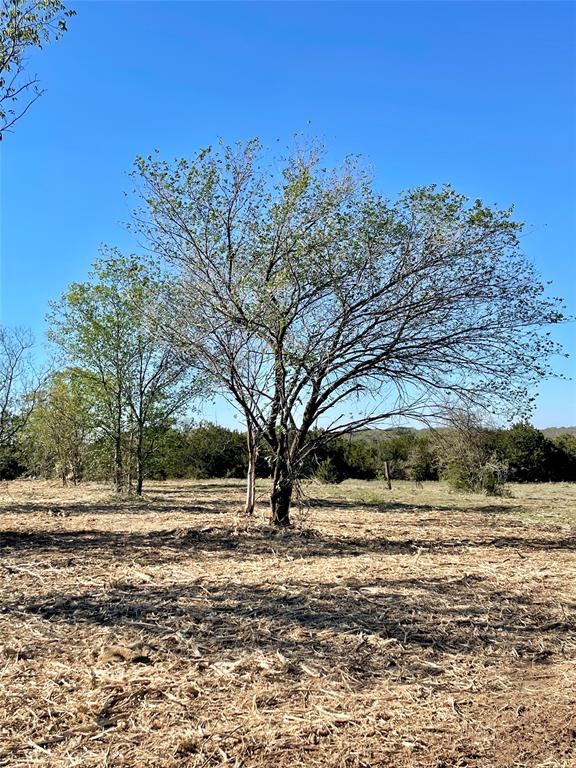 508 Polk Property Photo 4