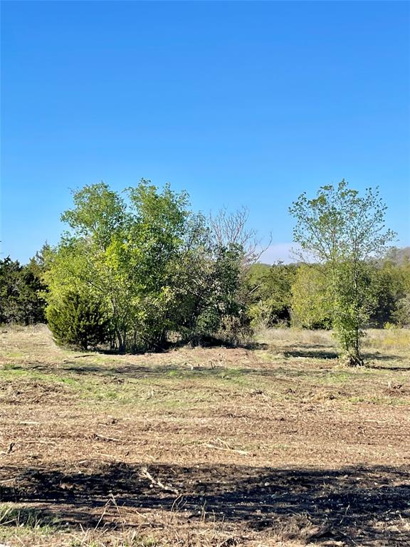 508 Polk Property Photo 5
