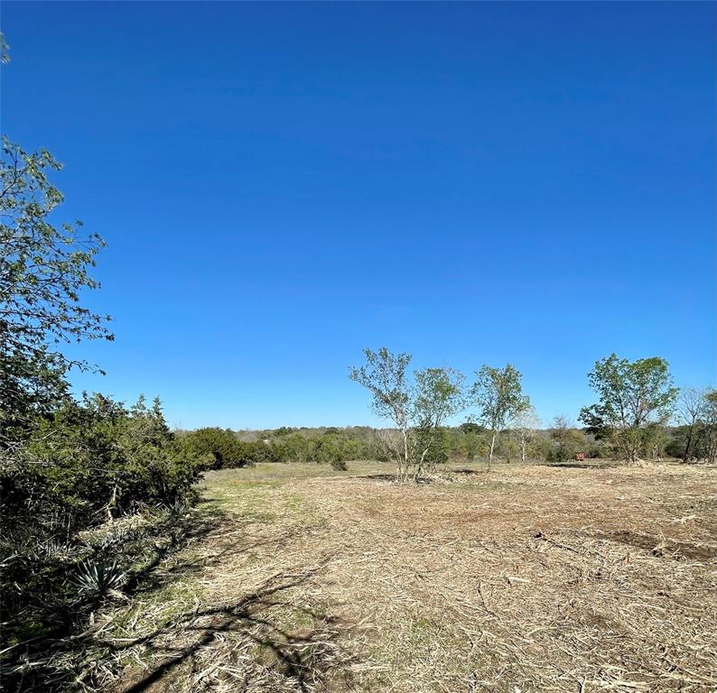 508 Polk Property Photo 6