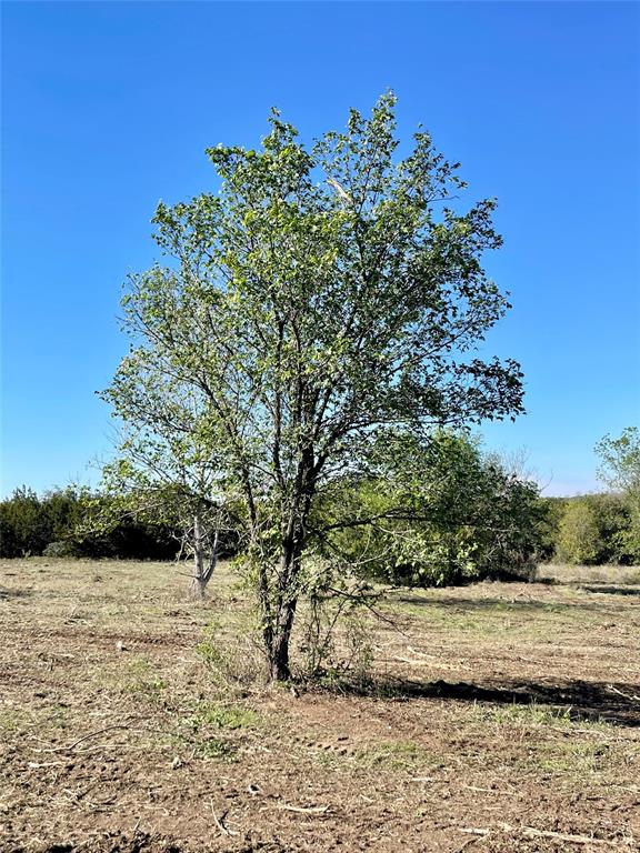 508 Polk Property Photo 7