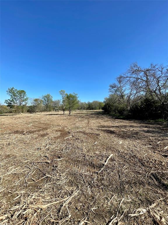 508 Polk Property Photo 8