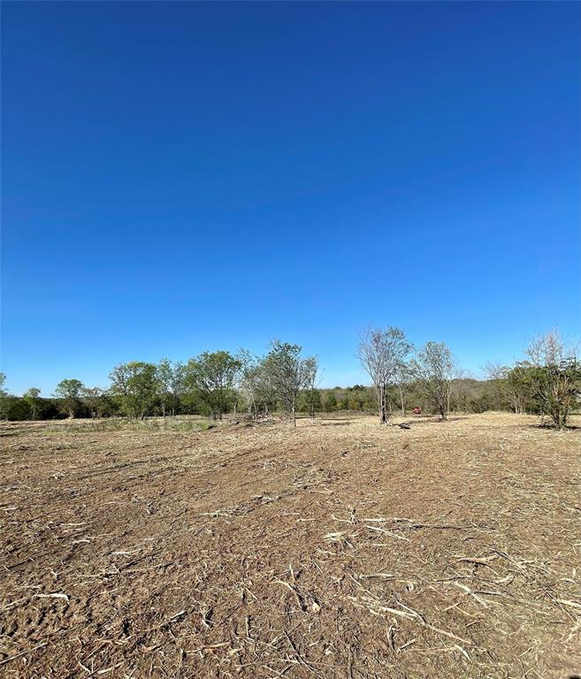 508 Polk Property Photo 11
