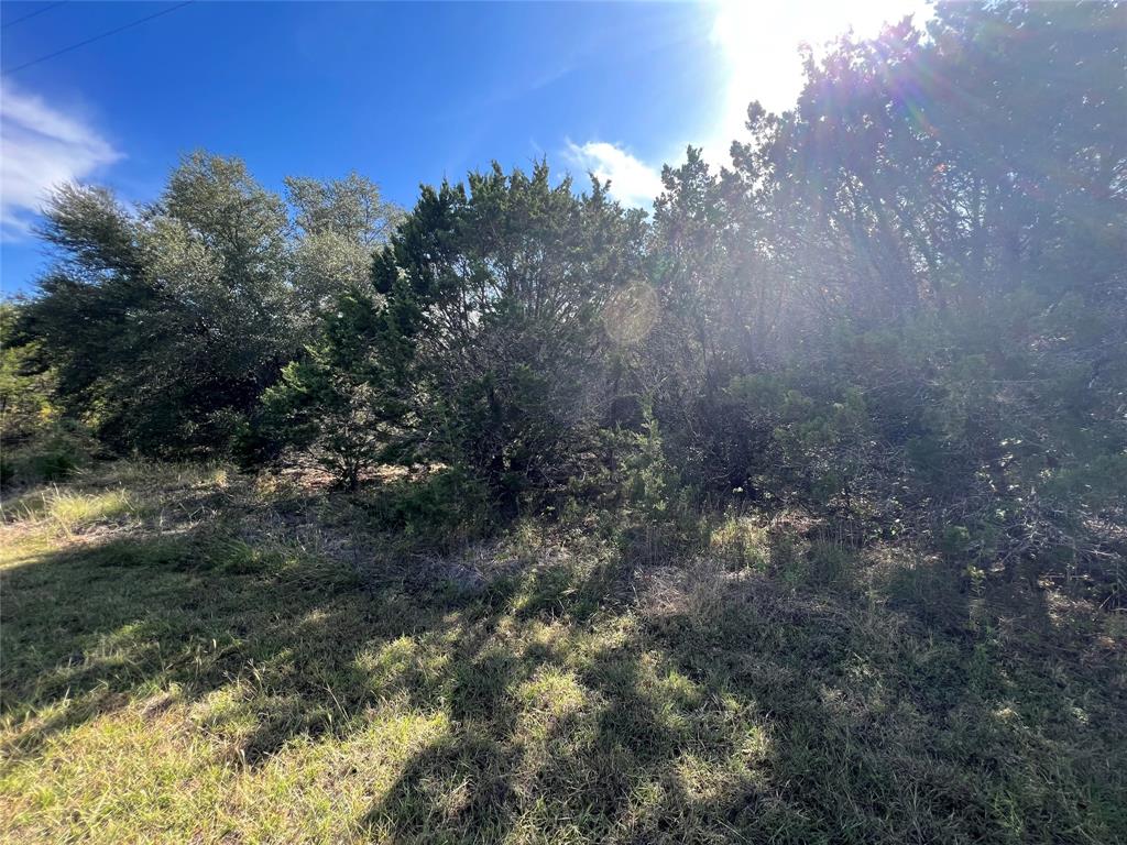 33028 Woodcrest Drive Property Photo 7