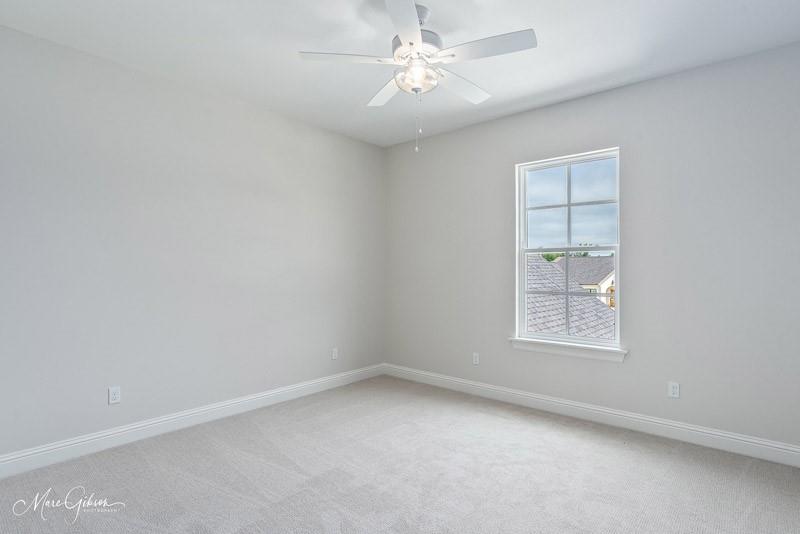 9827 Canebrake Lane Property Photo 23