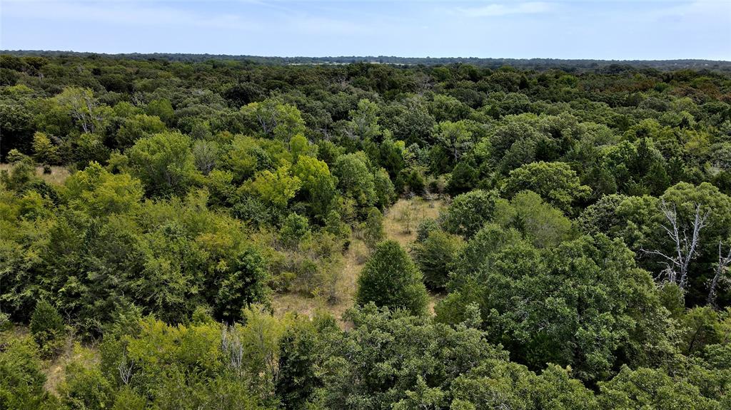 Tbd Cr 41514 Property Photo 1