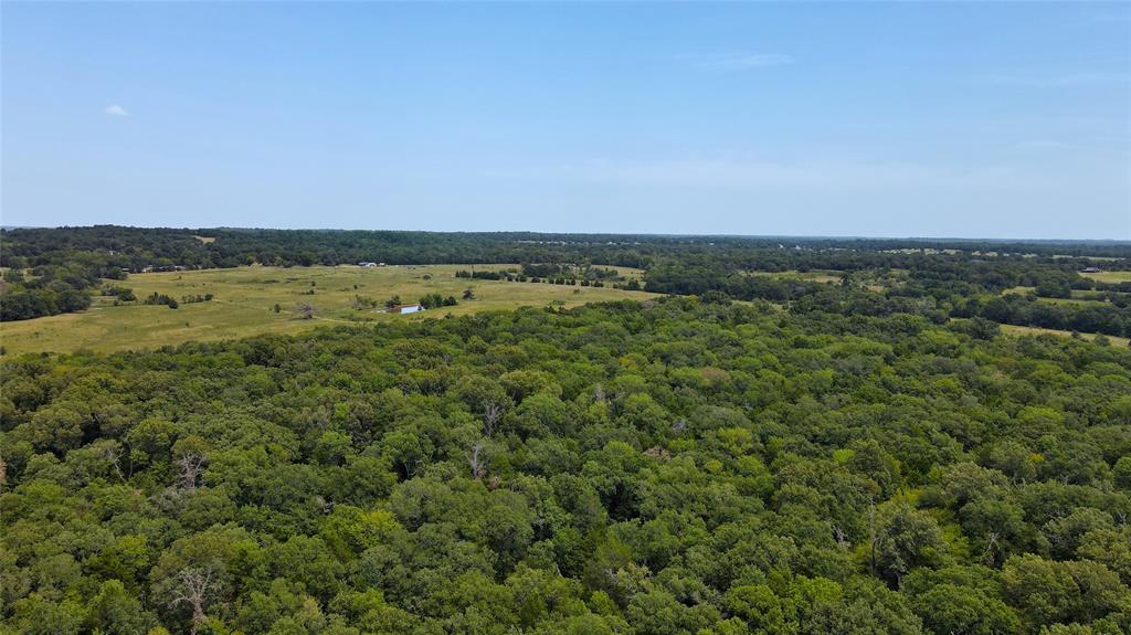 Tbd Cr 41514 Property Photo 4