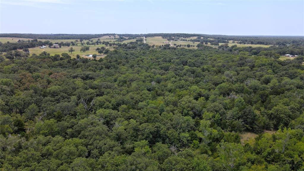 Tbd Cr 41514 Property Photo 5