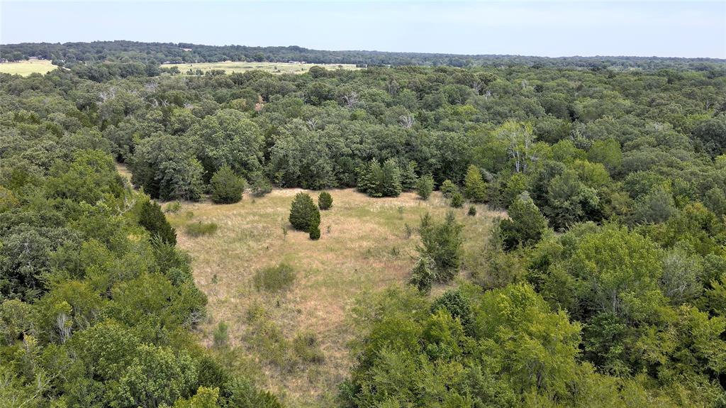 Tbd Cr 41514 Property Photo 9
