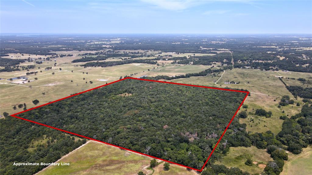 Tbd Cr 41514 Property Photo 17
