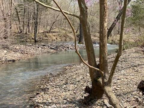 104 Cedar Bluff Trail Property Photo 1