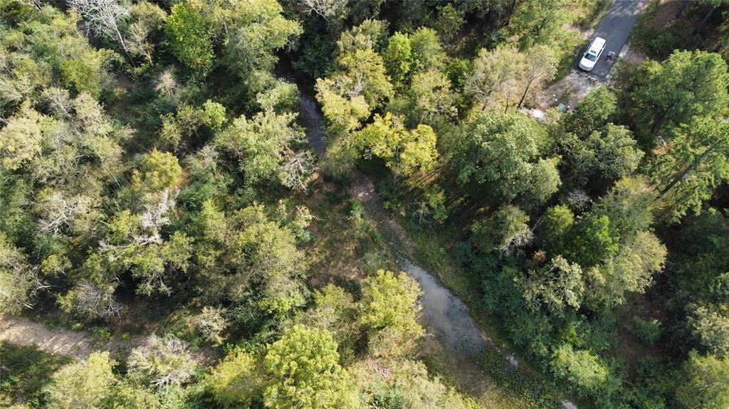 104 Cedar Bluff Trail Property Photo 4