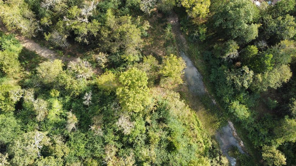 104 Cedar Bluff Trail Property Photo 5